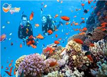 Du lịch Nha Trang Vinpearland 3 ngày 2 đêm giá rẻ